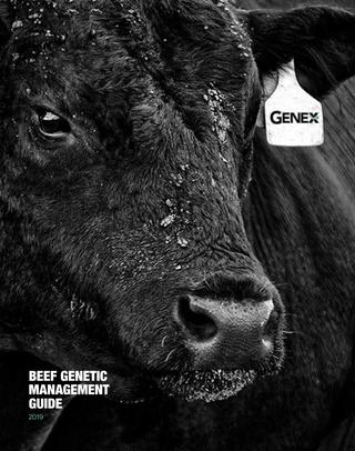 genex bulls